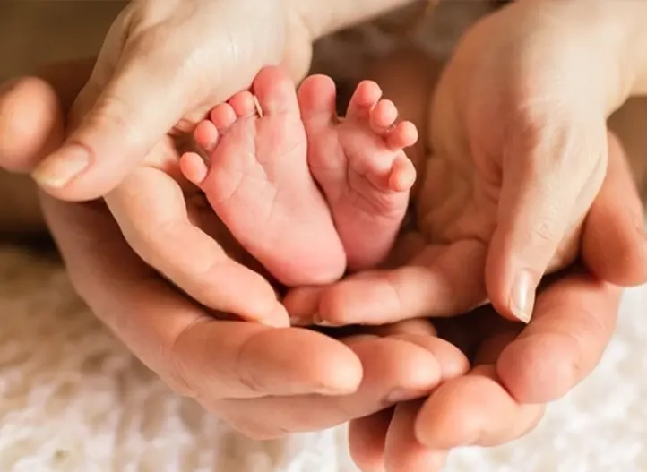 IVF and Donor Egg Services in India